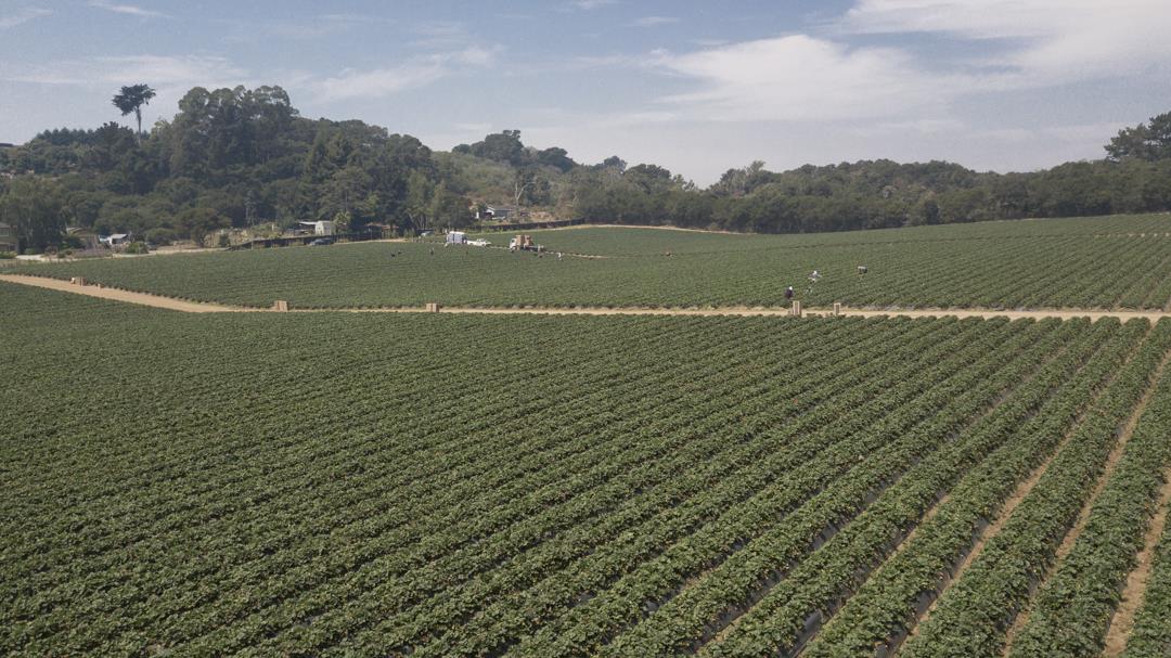 215 Spring View Road, LA SELVA BEACH, California 95076, ,Comm Lots And Land,For Sale,Spring View Road,40962298