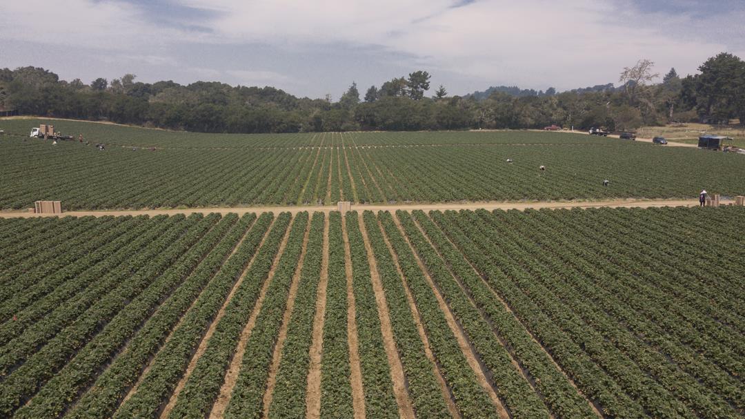 215 Spring View Road, LA SELVA BEACH, California 95076, ,Comm Lots And Land,For Sale,Spring View Road,40962298