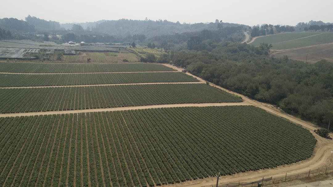 215 Spring View Road, LA SELVA BEACH, California 95076, ,Comm Lots And Land,For Sale,Spring View Road,40962298