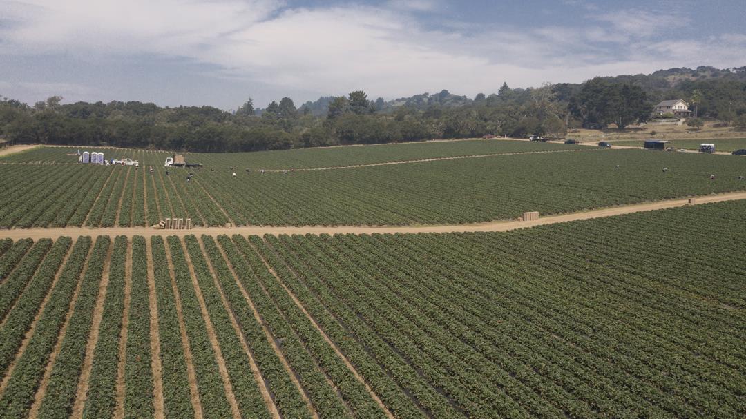 215 Spring View Road, LA SELVA BEACH, California 95076, ,Comm Lots And Land,For Sale,Spring View Road,40962298