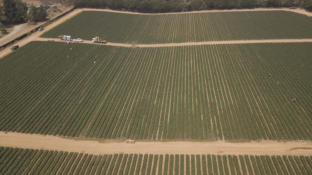 215 Spring View Road, LA SELVA BEACH, California 95076, ,Comm Lots And Land,For Sale,Spring View Road,40962298