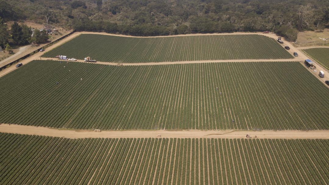 215 Spring View Road, LA SELVA BEACH, California 95076, ,Comm Lots And Land,For Sale,Spring View Road,40962298