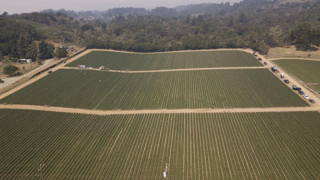 215 Spring View Road, LA SELVA BEACH, California 95076, ,Comm Lots And Land,For Sale,Spring View Road,40962298