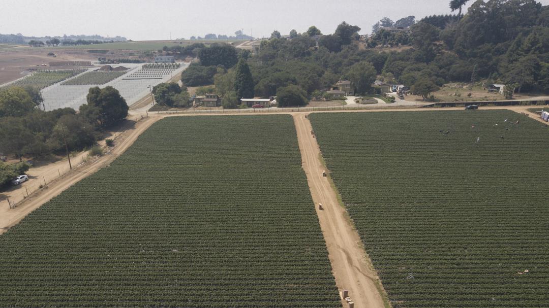 215 Spring View Road, LA SELVA BEACH, California 95076, ,Comm Lots And Land,For Sale,Spring View Road,40962298