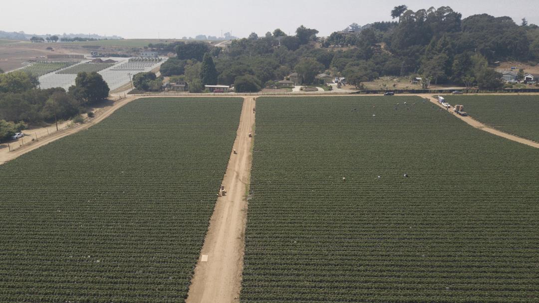 215 Spring View Road, LA SELVA BEACH, California 95076, ,Comm Lots And Land,For Sale,Spring View Road,40962298