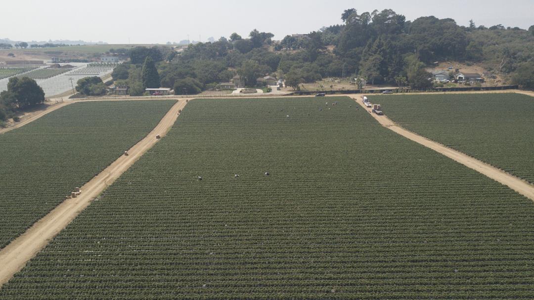 215 Spring View Road, LA SELVA BEACH, California 95076, ,Comm Lots And Land,For Sale,Spring View Road,40962298