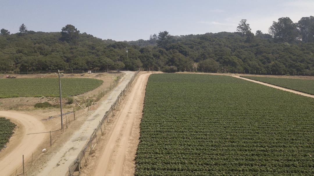 215 Spring View Road, LA SELVA BEACH, California 95076, ,Comm Lots And Land,For Sale,Spring View Road,40962298