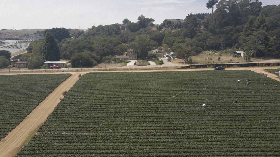 215 Spring View Road, LA SELVA BEACH, California 95076, ,Comm Lots And Land,For Sale,Spring View Road,40962298