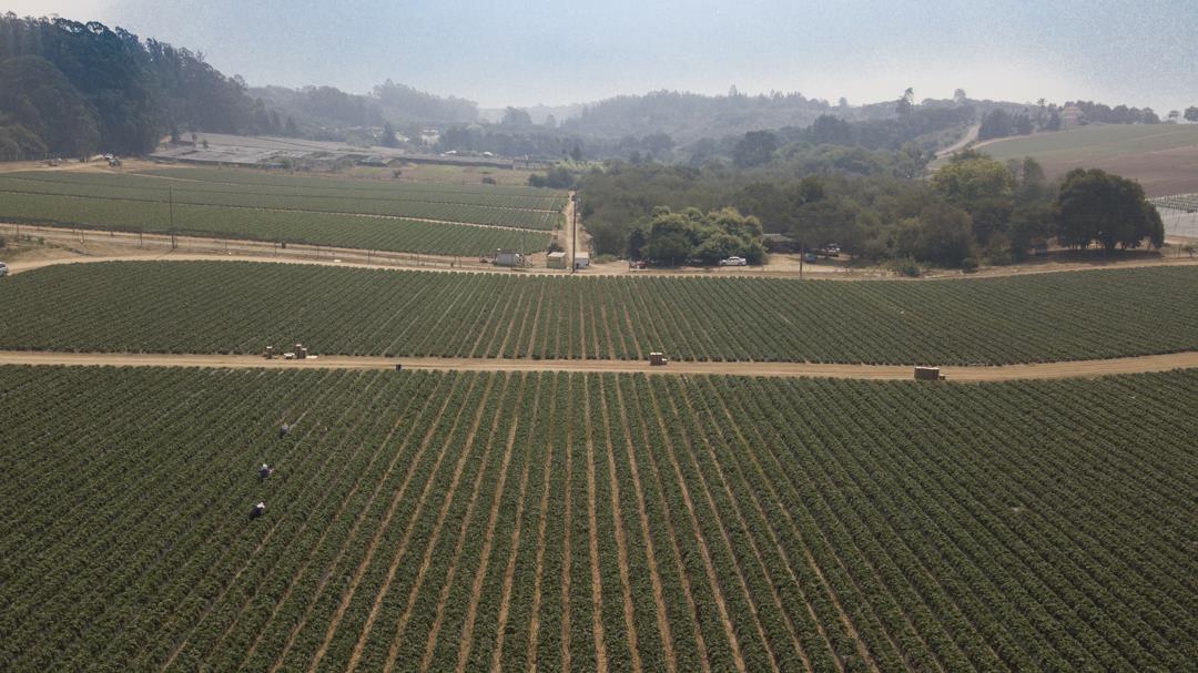 215 Spring View Road, LA SELVA BEACH, California 95076, ,Comm Lots And Land,For Sale,Spring View Road,40962298