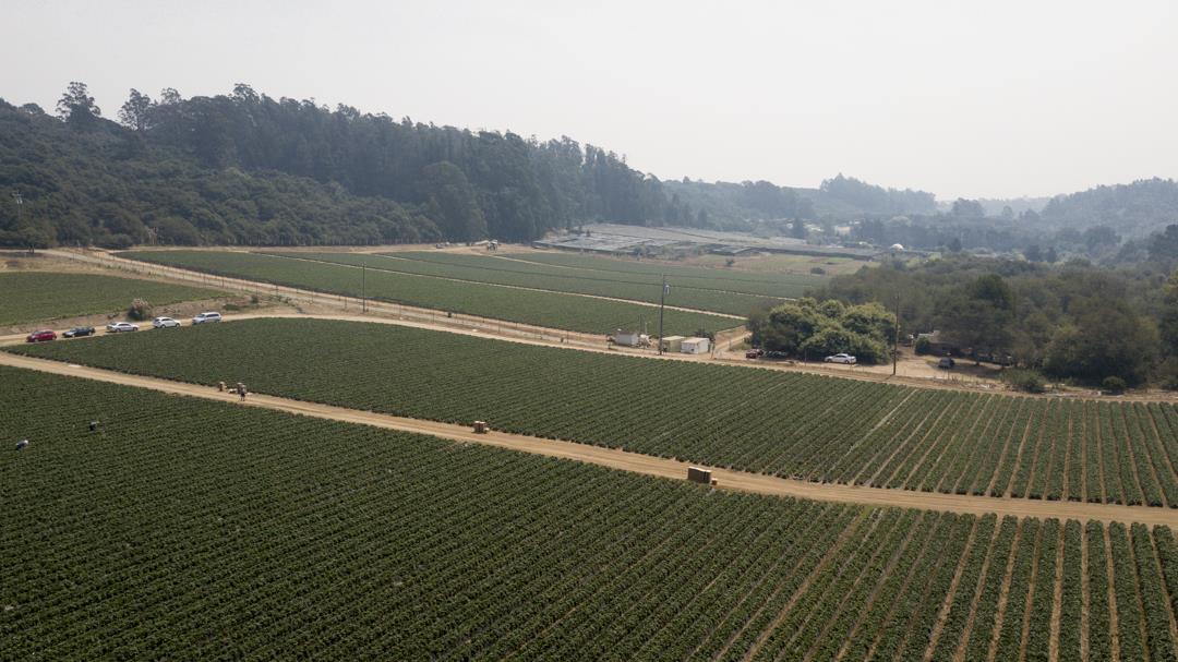 215 Spring View Road, LA SELVA BEACH, California 95076, ,Comm Lots And Land,For Sale,Spring View Road,40962298