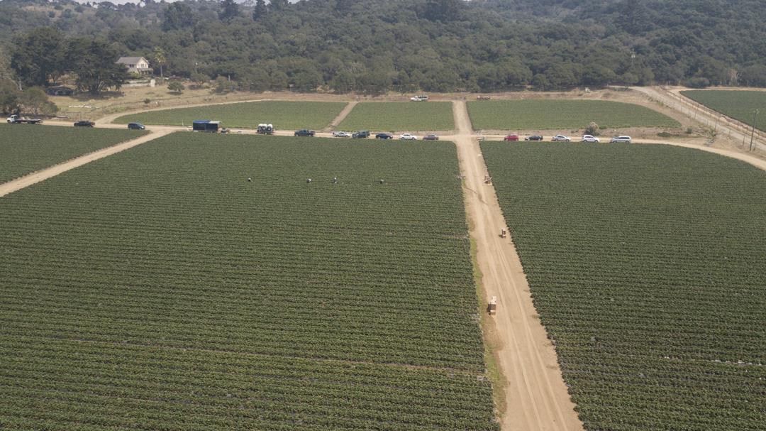 215 Spring View Road, LA SELVA BEACH, California 95076, ,Comm Lots And Land,For Sale,Spring View Road,40962298