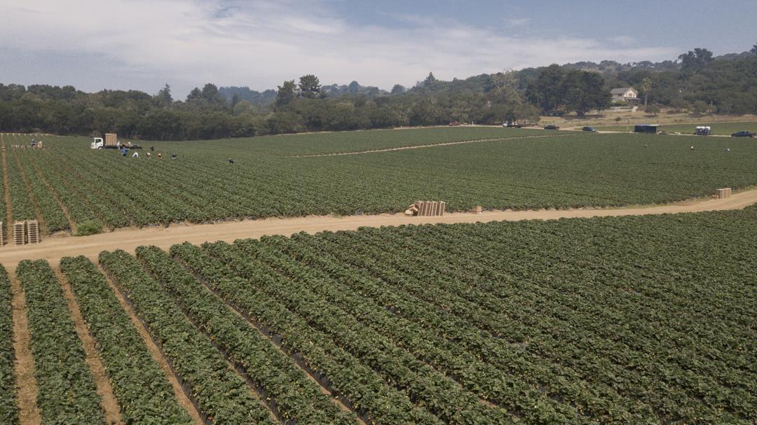 215 Spring View Road, LA SELVA BEACH, California 95076, ,Comm Lots And Land,For Sale,Spring View Road,40962298