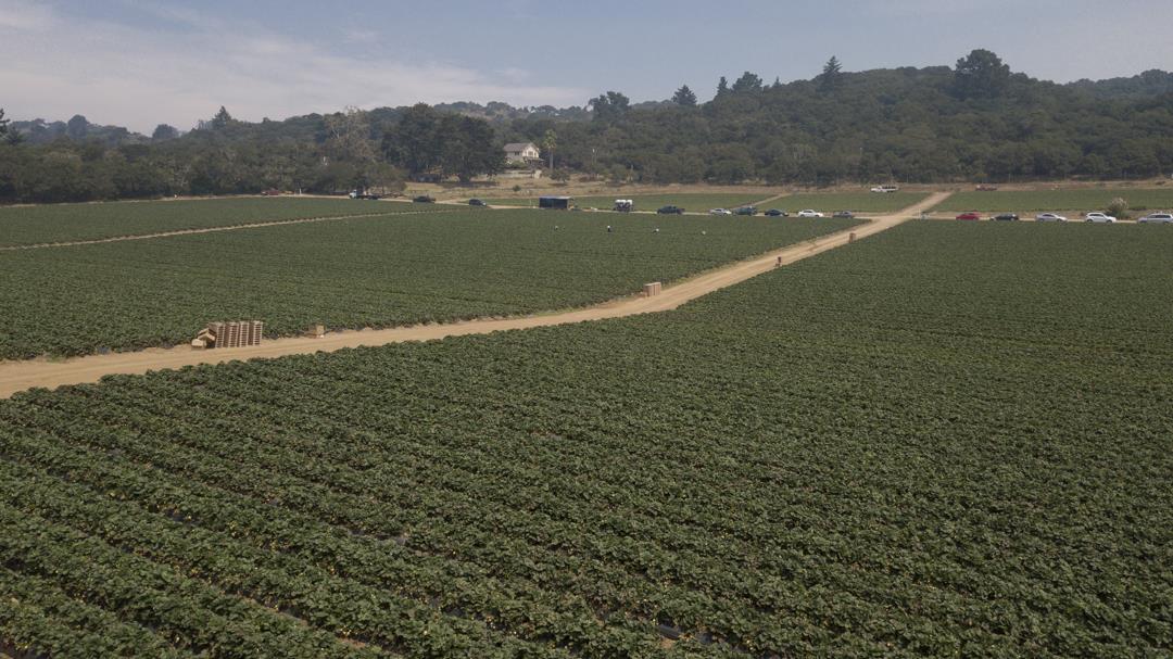 215 Spring View Road, LA SELVA BEACH, California 95076, ,Comm Lots And Land,For Sale,Spring View Road,40962298