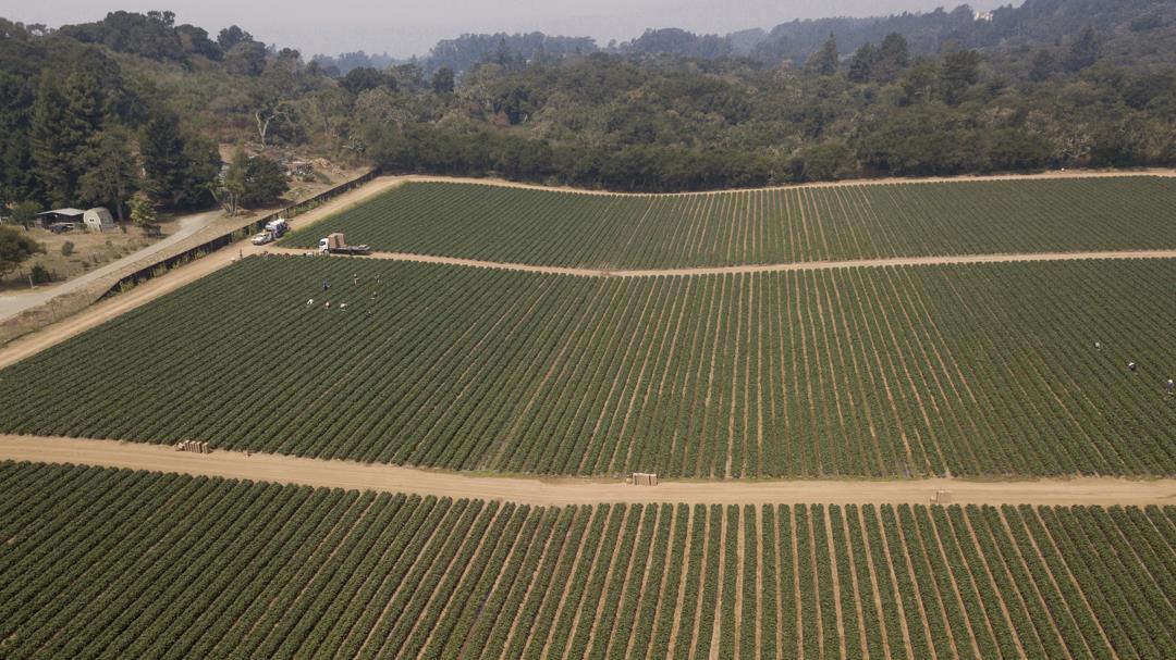 215 Spring View Road, LA SELVA BEACH, California 95076, ,Comm Lots And Land,For Sale,Spring View Road,40962298