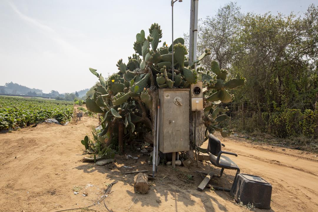 215 Spring View Road, LA SELVA BEACH, California 95076, ,Comm Lots And Land,For Sale,Spring View Road,40962298