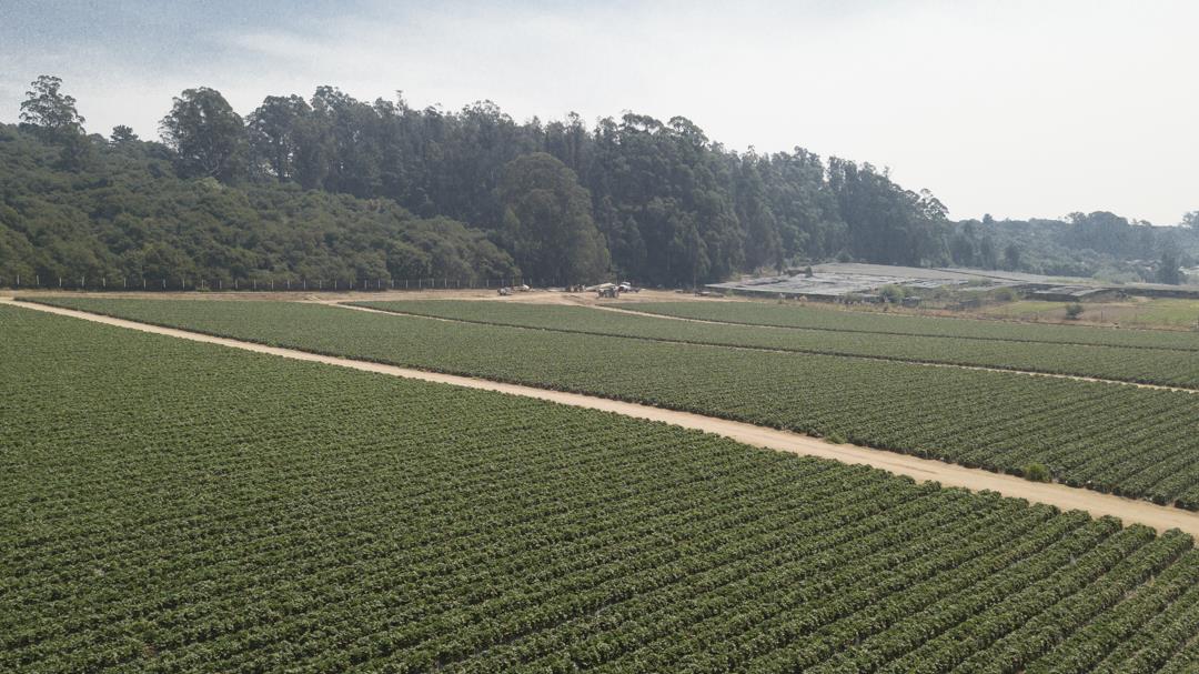 215 Spring View Road, LA SELVA BEACH, California 95076, ,Comm Lots And Land,For Sale,Spring View Road,40962298