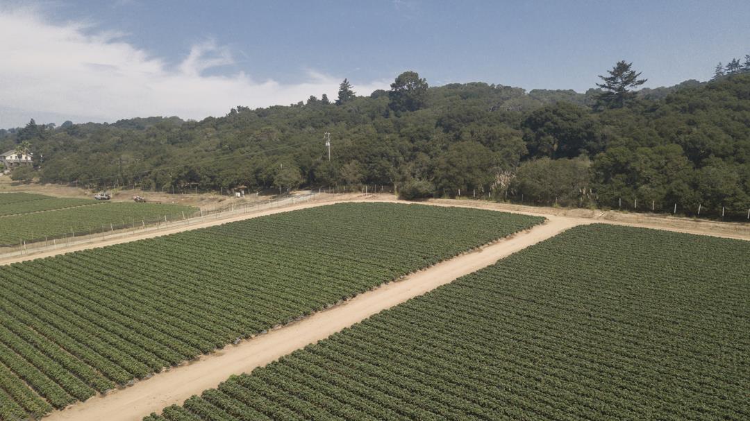 215 Spring View Road, LA SELVA BEACH, California 95076, ,Comm Lots And Land,For Sale,Spring View Road,40962298