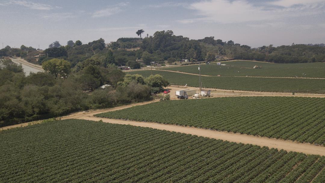 215 Spring View Road, LA SELVA BEACH, California 95076, ,Comm Lots And Land,For Sale,Spring View Road,40962298