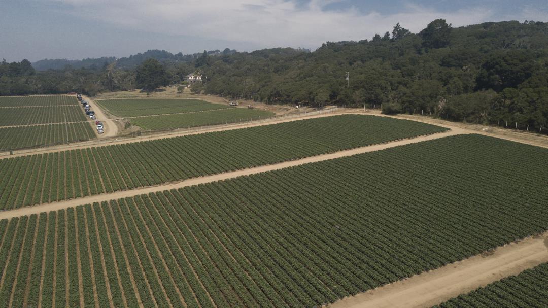 215 Spring View Road, LA SELVA BEACH, California 95076, ,Comm Lots And Land,For Sale,Spring View Road,40962298