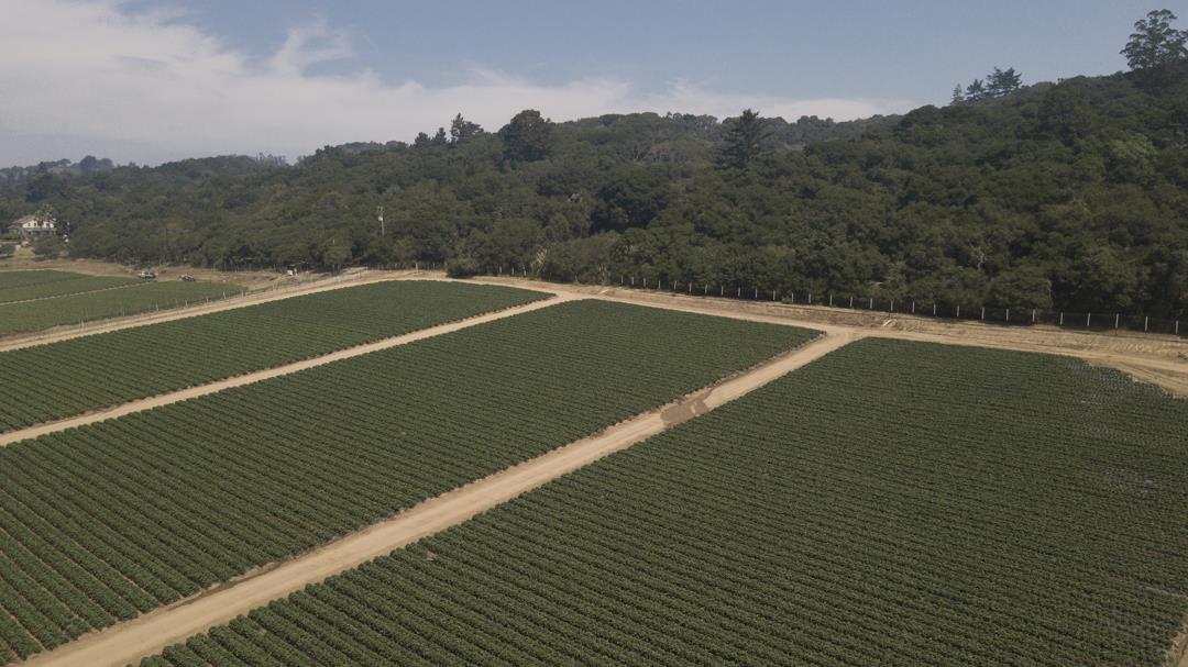 215 Spring View Road, LA SELVA BEACH, California 95076, ,Comm Lots And Land,For Sale,Spring View Road,40962298