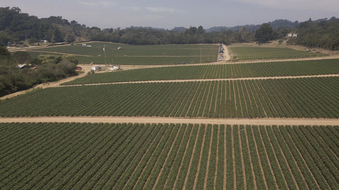 215 Spring View Road, LA SELVA BEACH, California 95076, ,Comm Lots And Land,For Sale,Spring View Road,40962298