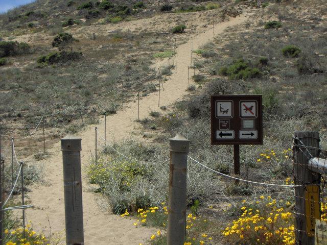 3000 Lake Court, MARINA, California 93933, ,Lots And Land,For Sale,Lake Court,40965768