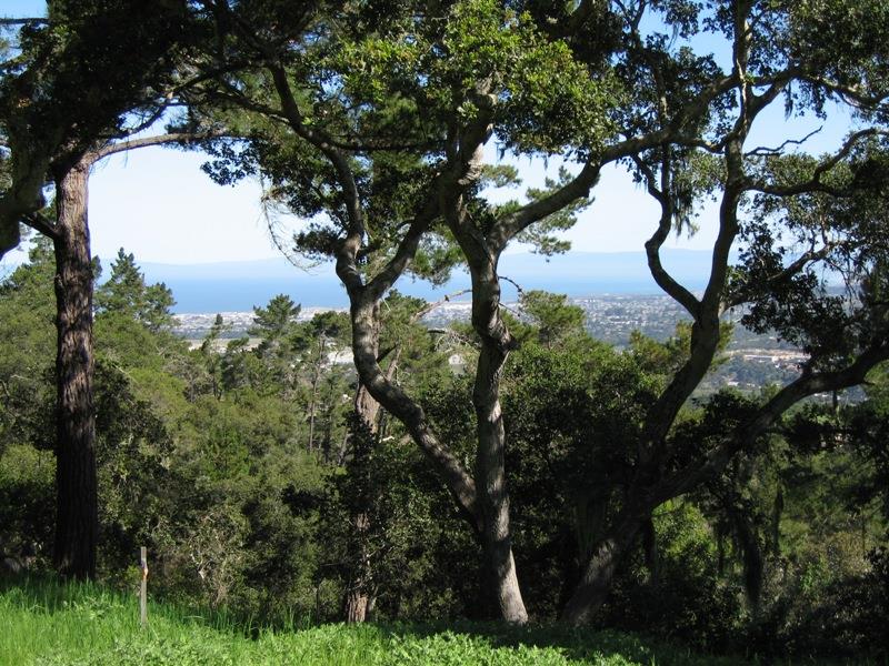 7870 Monterra Oaks, MONTEREY, California 93940, ,Lots And Land,For Sale,Monterra Oaks,40963727