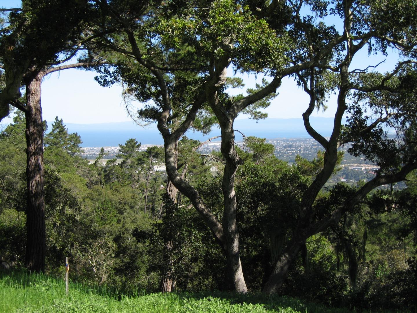 7870 Monterra Oaks, MONTEREY, California 93940, ,Lots And Land,For Sale,Monterra Oaks,40963727