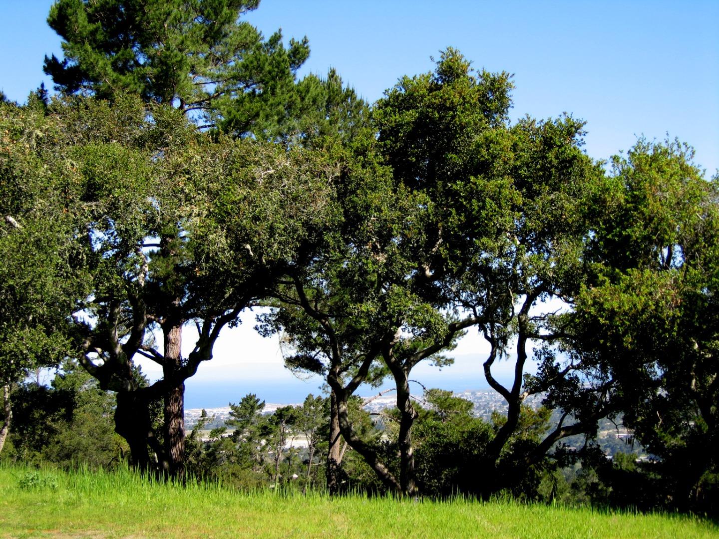 7870 Monterra Oaks, MONTEREY, California 93940, ,Lots And Land,For Sale,Monterra Oaks,40963727