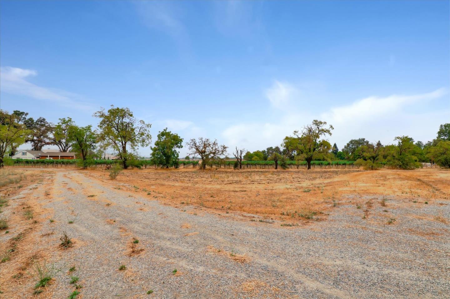 495 Bonino Lane, SAN MARTIN, California 95046, ,Lots And Land,For Sale,Bonino Lane,40962014