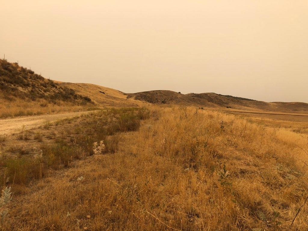 227 Dorrington Trail, SANTA MARGARITA, California 93453, ,Lots And Land,For Sale,Dorrington Trail,40964750