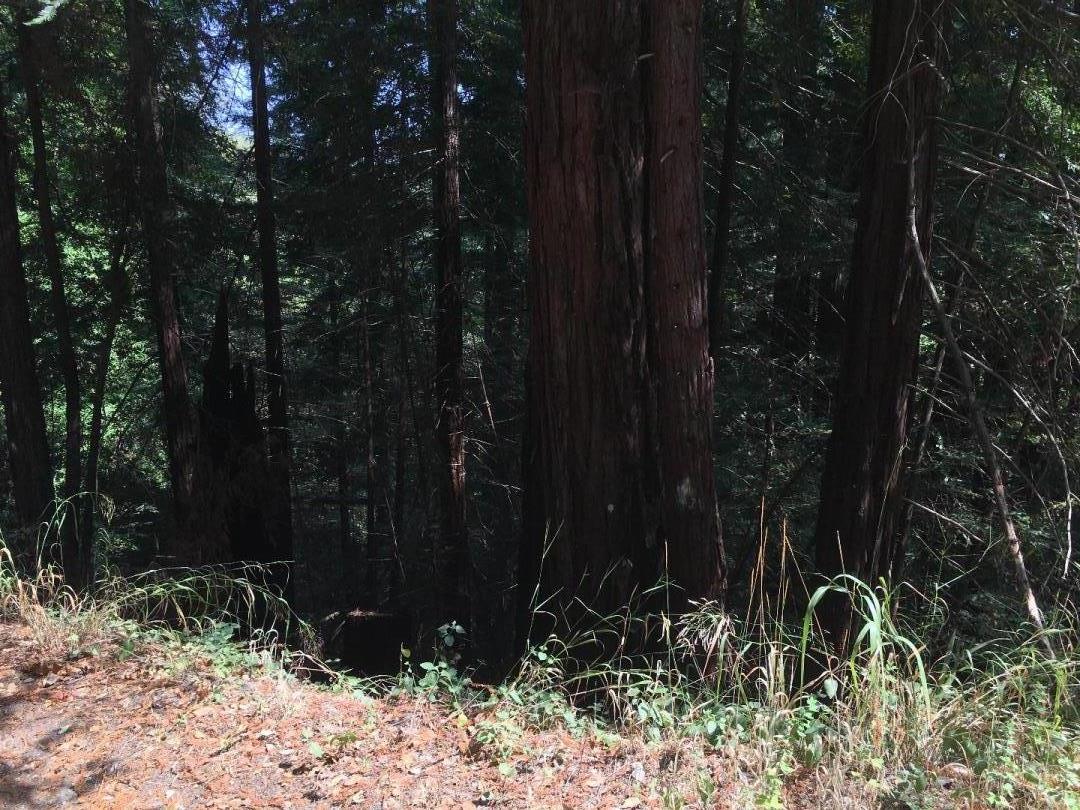 000 Redwood Drive, FELTON, California 95018, ,Lots And Land,For Sale,Redwood Drive,40962332