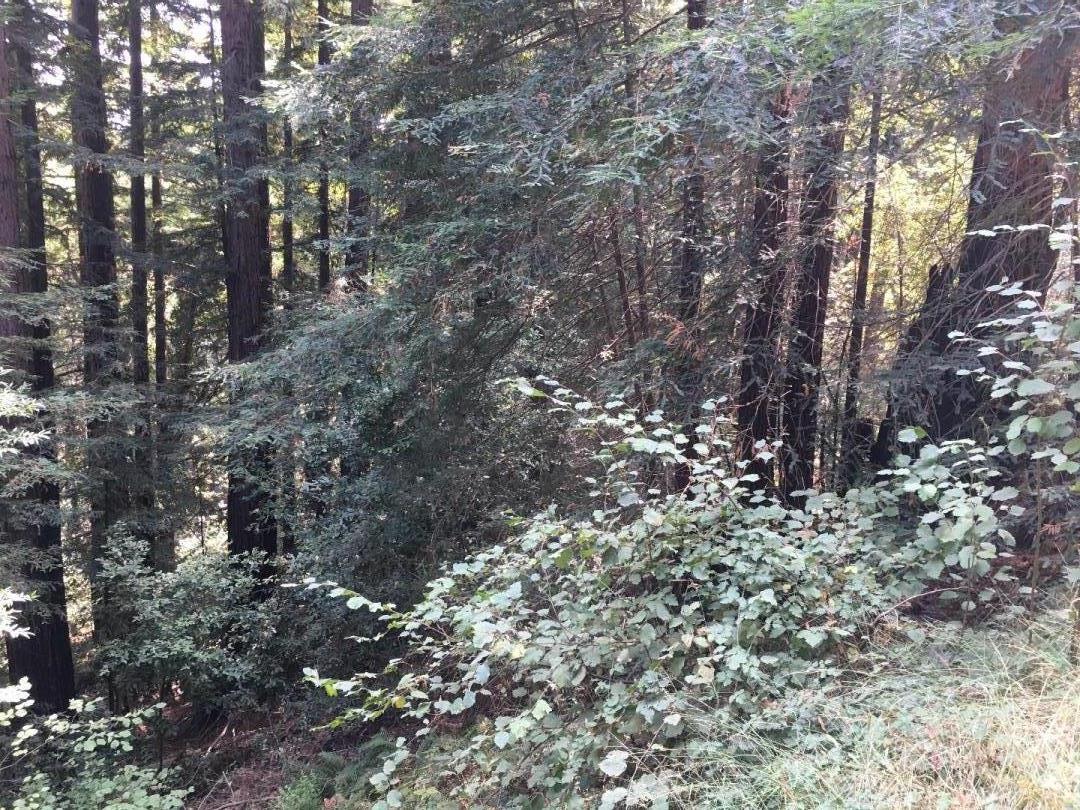 000 Redwood Drive, FELTON, California 95018, ,Lots And Land,For Sale,Redwood Drive,40962332