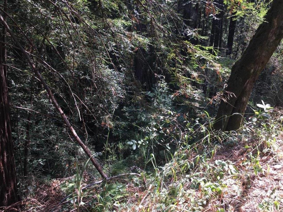 000 Redwood Drive, FELTON, California 95018, ,Lots And Land,For Sale,Redwood Drive,40962332