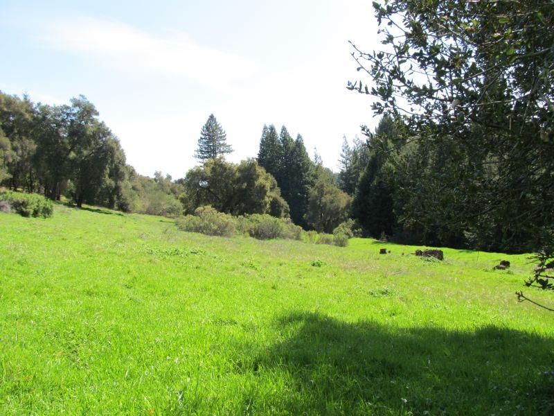 0 Two Bar Road, BOULDER CREEK, California 95006, ,Lots And Land,For Sale,Two Bar Road,40967470