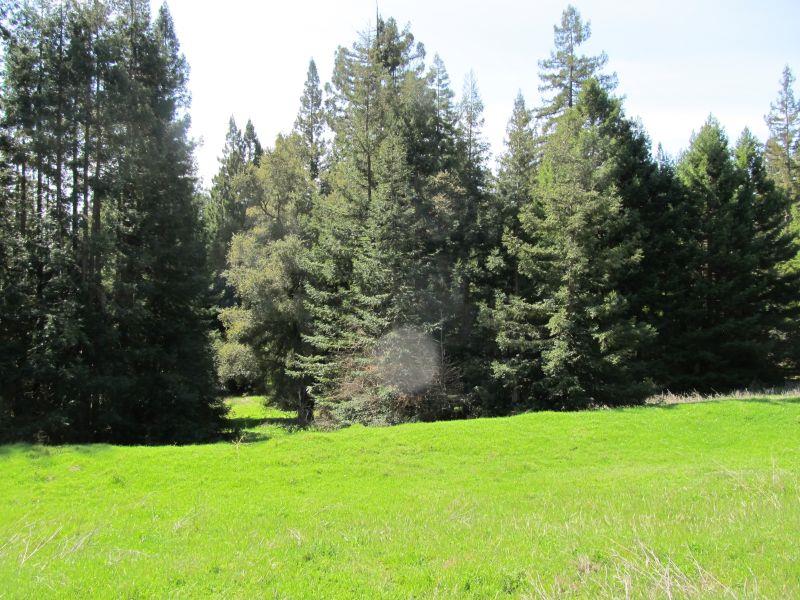 0 Two Bar Road, BOULDER CREEK, California 95006, ,Lots And Land,For Sale,Two Bar Road,40967470