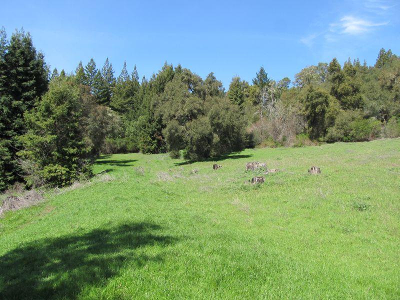 0 Two Bar Road, BOULDER CREEK, California 95006, ,Lots And Land,For Sale,Two Bar Road,40967470