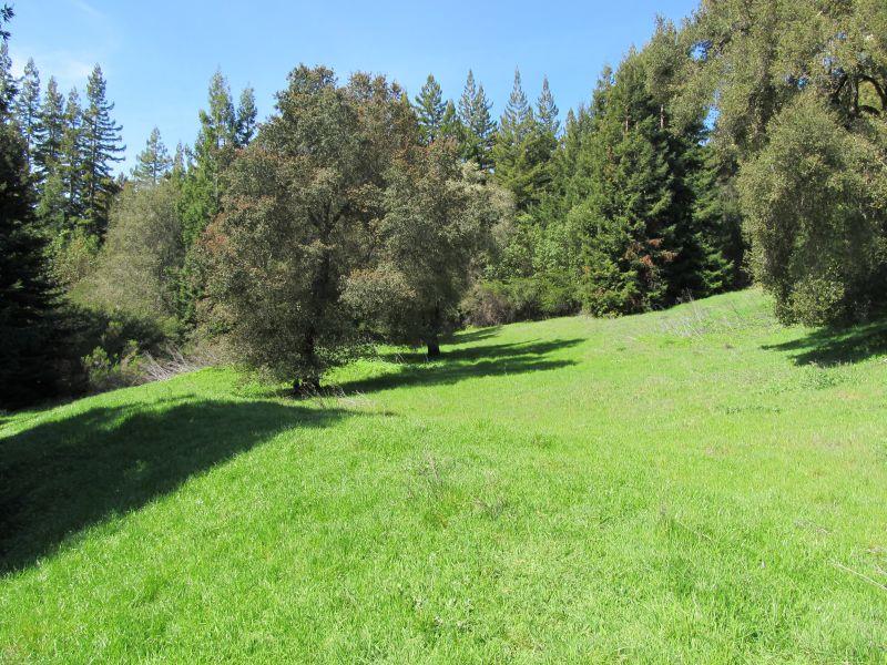 0 Two Bar Road, BOULDER CREEK, California 95006, ,Lots And Land,For Sale,Two Bar Road,40967470