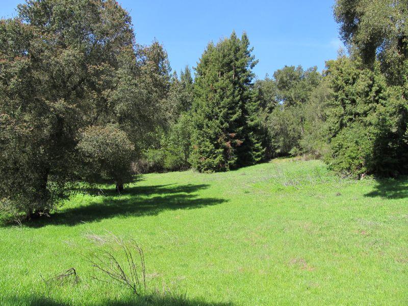 0 Two Bar Road, BOULDER CREEK, California 95006, ,Lots And Land,For Sale,Two Bar Road,40967470