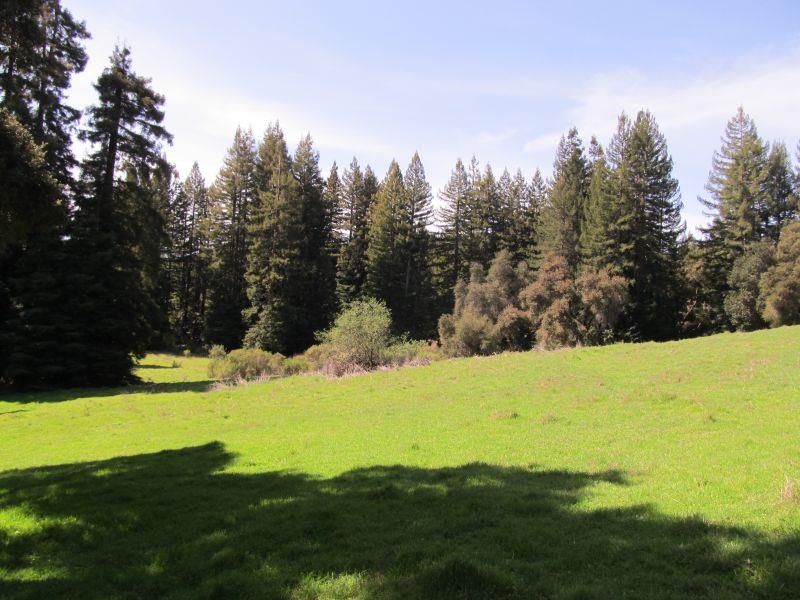 0 Two Bar Road, BOULDER CREEK, California 95006, ,Lots And Land,For Sale,Two Bar Road,40967470