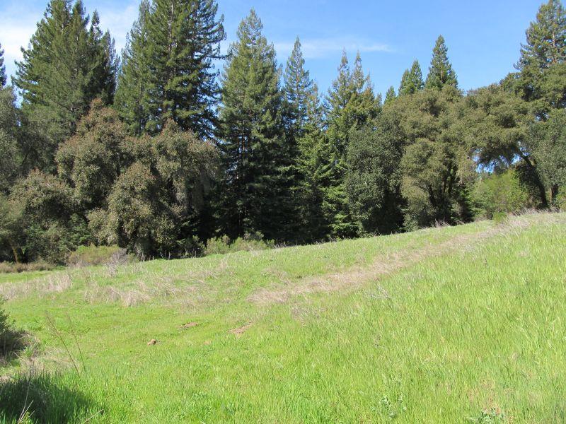 0 Two Bar Road, BOULDER CREEK, California 95006, ,Lots And Land,For Sale,Two Bar Road,40967470