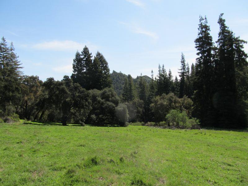 0 Two Bar Road, BOULDER CREEK, California 95006, ,Lots And Land,For Sale,Two Bar Road,40967470