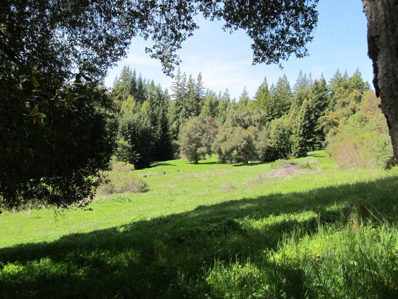 0 Two Bar Road, BOULDER CREEK, California 95006, ,Lots And Land,For Sale,Two Bar Road,40967470