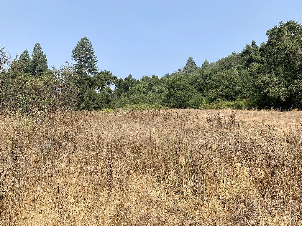 0 Two Bar Road, BOULDER CREEK, California 95006, ,Lots And Land,For Sale,Two Bar Road,40967470