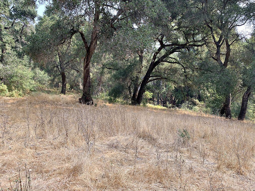 0 Two Bar Road, BOULDER CREEK, California 95006, ,Lots And Land,For Sale,Two Bar Road,40967470