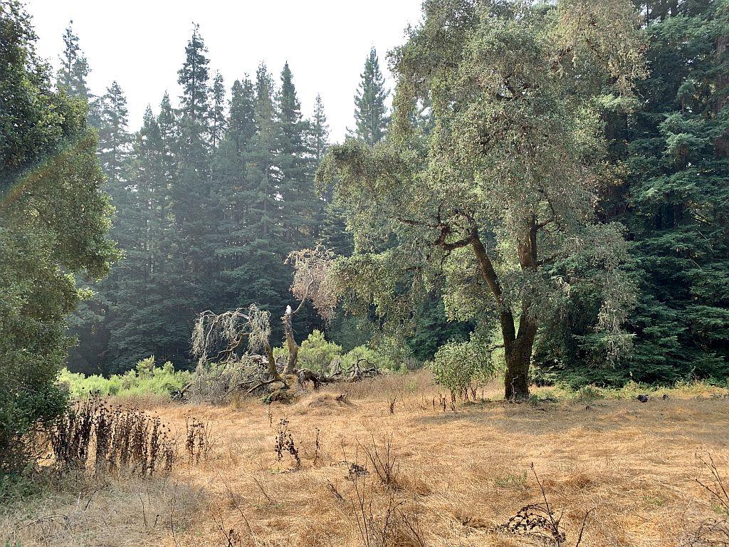 0 Two Bar Road, BOULDER CREEK, California 95006, ,Lots And Land,For Sale,Two Bar Road,40967470