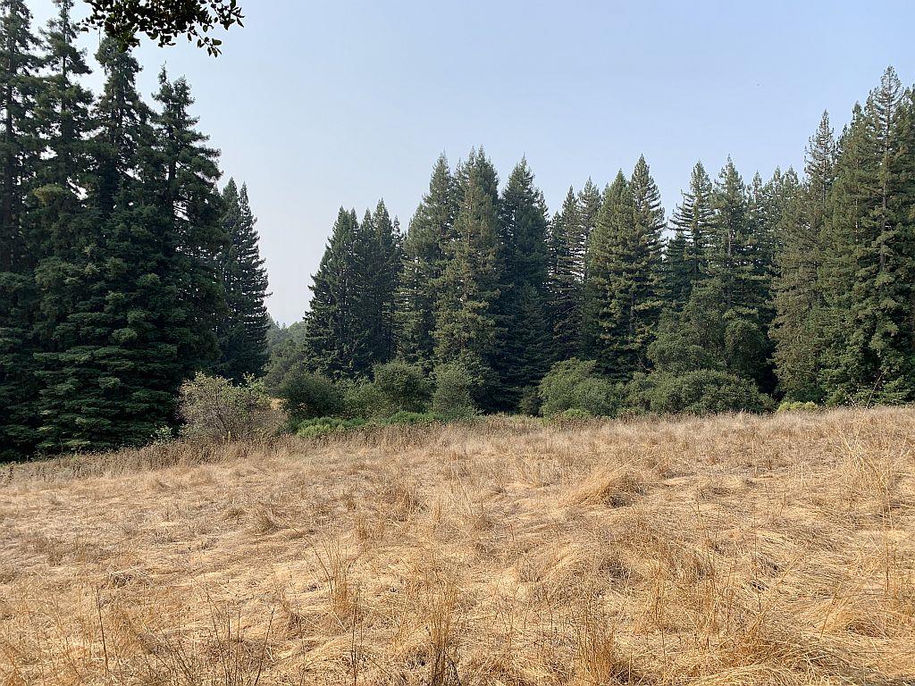 0 Two Bar Road, BOULDER CREEK, California 95006, ,Lots And Land,For Sale,Two Bar Road,40967470