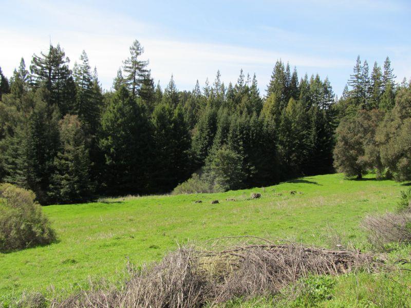 0 Two Bar Road, BOULDER CREEK, California 95006, ,Lots And Land,For Sale,Two Bar Road,40967470
