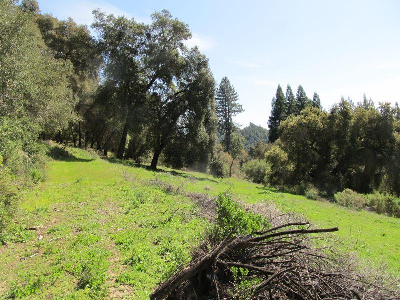 0 Two Bar Road, BOULDER CREEK, California 95006, ,Lots And Land,For Sale,Two Bar Road,40967470