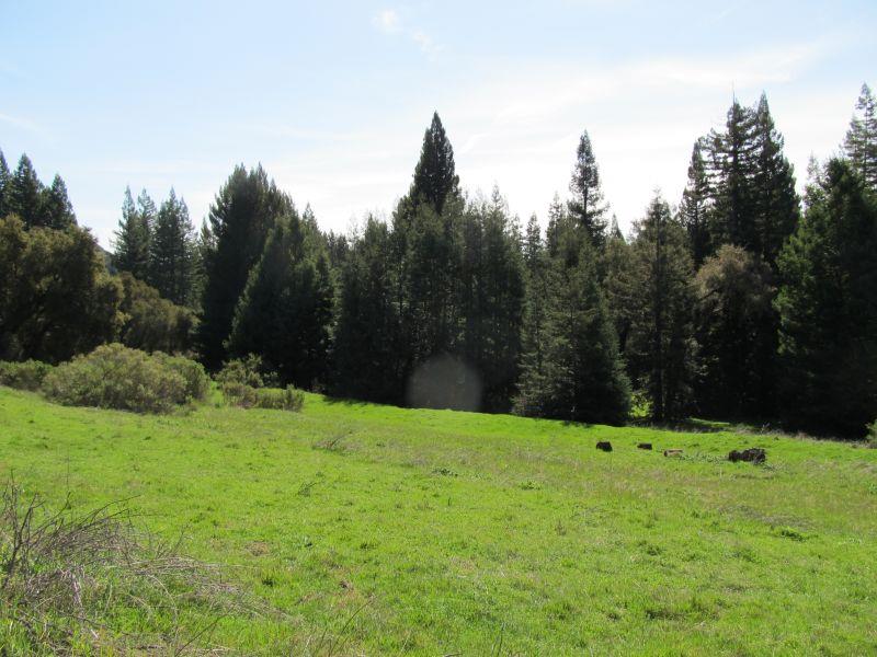 0 Two Bar Road, BOULDER CREEK, California 95006, ,Lots And Land,For Sale,Two Bar Road,40967470